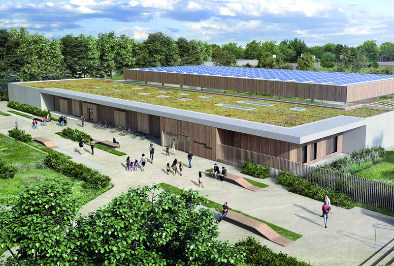 Projet de piscine naturelle