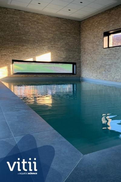 piscine naturelle belgique ecologie